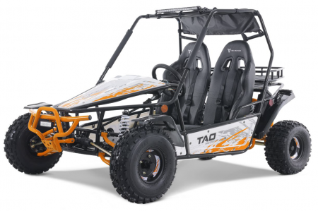 Tao Motors BAJA Sports 200 Go Kart