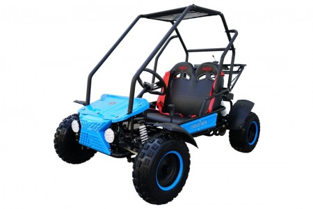Coolster 125cc 6125B Automatic Go Kart