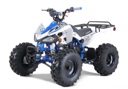 Tao Motor G125 Mid-Size ATV - Free Assembly 