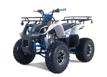 Tao Motor 125 T-Force Platinum Mid-Size ATV - Free Assembly