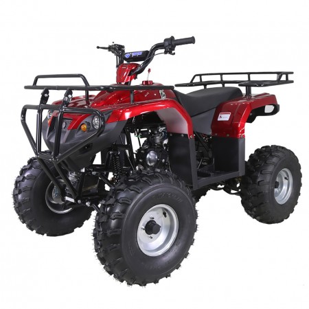 TaoTao 125F1 Kids ATV