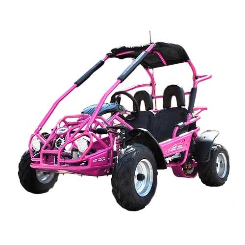 Trailmaster 200Cc Xrx Mid Go Kart CA Carb Approved