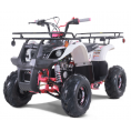 NEW Tao Motor D125 Kids 125cc ATV Pink