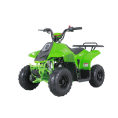 TaoTao Rock 110 with Reverse Kids ATV Green