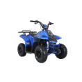 TaoTao Rock 110 with Reverse Kids ATV Blue