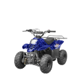 Kids 110 ATV - Spider Blue