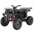 Tao Tao 150cc D-Type Bull 150 Adult ATV Black