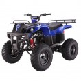 Tao Tao 150cc D-Type Bull 150 Adult ATV Blue