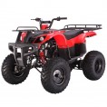 Tao Tao 150cc D-Type Bull 150 Adult ATV Red Burgundy