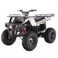 Tao Tao 150cc D-Type Bull 150 Adult ATV Tree Camo