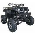 Cougar 200 Utility Adult ATV Carbon Fiber Black 