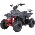 TaoTao Rock 110 with Reverse Kids ATV Matte Black