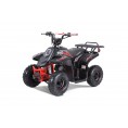 TaoTao Rock 110 with Reverse Kids ATV Black
