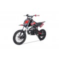 Tao Motor 110 DB-14 Semi-Automatic Pit Dirt Bike Red