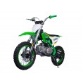 TaoTao DB24 110cc Kids Dirt Bike Green