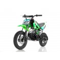 Apollo DB27 110cc Dirt Bike Green