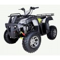 TaoTao Bull 200 Green
