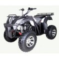 TaoTao Bull 200 Grey
