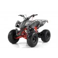 Vitacci 125cc ATV Type Falcon X Gray