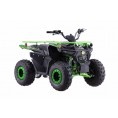 Vitacci 125 Pentora IRIDE Mid-Size ATV Black/Green