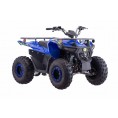 Vitacci 125 Pentora IRIDE Mid-Size ATV Blue