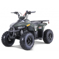 Tao Motor Mud Hawk 6 110 Kids Rival ATV Green