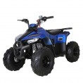 Tao Motor Mud Hawk 6 110 Kids Rival ATV Blue