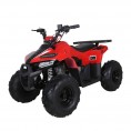 Tao Motor Mud Hawk 6 110 Kids Rival ATV Red