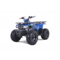 Tao Motor Mud Hawk 10 125 Kids Rival ATV Blue