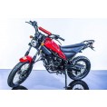 RPS 250 Magician Adult Enduro Motorcycle Red