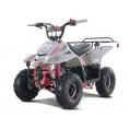 Tao Motor 110cc NEW Boulder - Kids 110cc ATV Pink