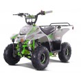 Tao Motor 110cc NEW Boulder - Kids 110cc ATV Green