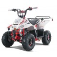 Tao Motor 110cc NEW Boulder - Kids 110cc ATV Red