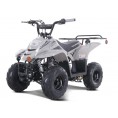 Tao Motor 110cc NEW Boulder - Kids 110cc ATV Black