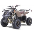NEW Tao Motor D125 Kids 125cc ATV Tree Camo