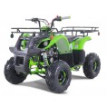 NEW Tao Motor D125 Kids 125cc ATV Green