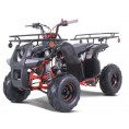 NEW Tao Motor D125 Kids 125cc ATV Black