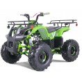 NEW Tao Motor TForce Mid-Size 125cc ATV Green