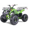 NEW Tao Motor T125 Mid-Size 125cc ATV Green