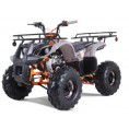 NEW Tao Motor TForce Mid-Size 125cc ATV Tree Camo