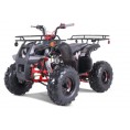 NEW Tao Motor T125 Mid-Size 125cc ATV Black