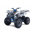 Tao Motor 125 T-Force Platinum ATV Blue