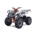 Tao Motor 125 T-Force Platinum ATV Red