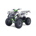 Tao Motor 125 T-Force Platinum ATV Green