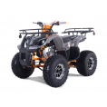 Tao Motor 125 T-Force Platinum ATV Grey/Orange