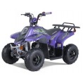 TaoTao Rock 110 with Reverse Kids ATV Purple