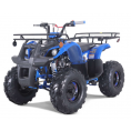 NEW Tao Motor T125 Mid-Size 125cc ATV Blue