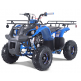 NEW Tao Motor D125 Kids 125cc ATV Blue