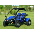 Vitacci Venture EFI 200 Go Kart Blue