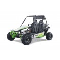 Tao Motors BAJA Sports 200 Go Kart Green